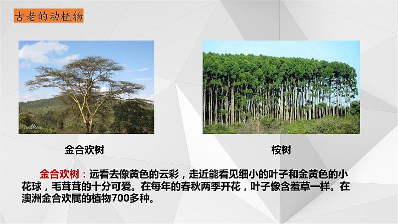 8.7 澳大利亚 第二课时 课件  2021-2022学年七年级地理下册（湘教版）第7页