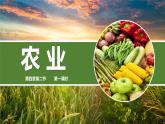 2022年湘教版八年级上册地理课件 4.1农业