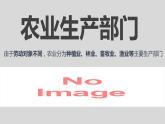 2022年湘教版八年级上册地理课件 4.1农业