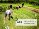 2022年湘教版八年级上册地理课件 4.1农业