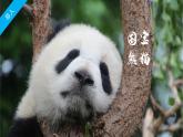 2022年湘教版八年级上册地理课件 1.1中国的疆域