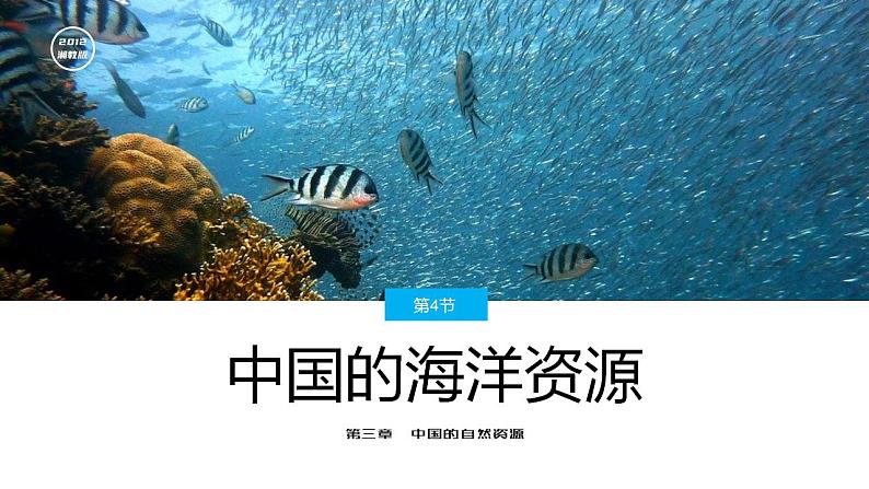 2022年湘教版八年级上册地理课件3.4中国的海洋资源01