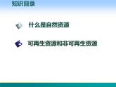 3.1 自然资源概况-2022年八年级地理上册同步课堂备课课件（湘教版）