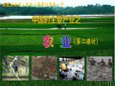 4.1.2 农业-2022年八年级地理上册同步课堂备课课件（湘教版）