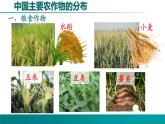 4.1.2 农业-2022年八年级地理上册同步课堂备课课件（湘教版）