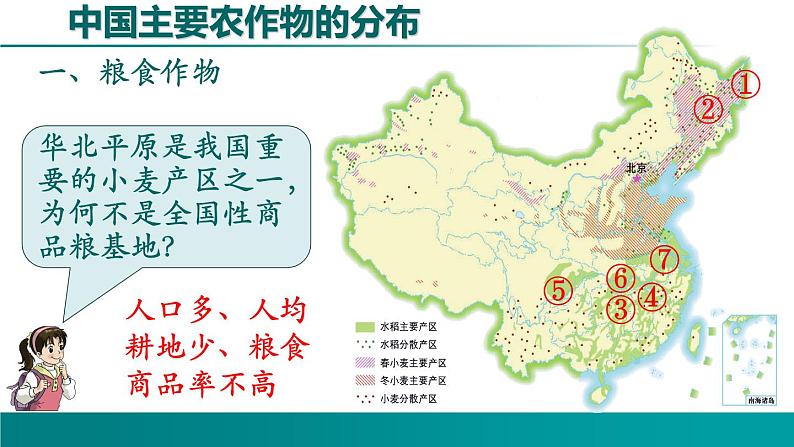 4.1.2 农业-2022年八年级地理上册同步课堂备课课件（湘教版）08