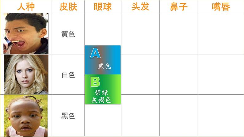 3.2 世界的人种-2022年七年级上册地理优质课件（湘教版）07