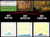 4.4 世界的主要气候类型（第2课时）-2022年七年级上册地理优质课件（湘教版）