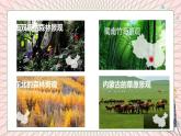 地理仁爱科普版八上2.2 气候类型多样 季风气候显著（第2课时）课件+教案+练习