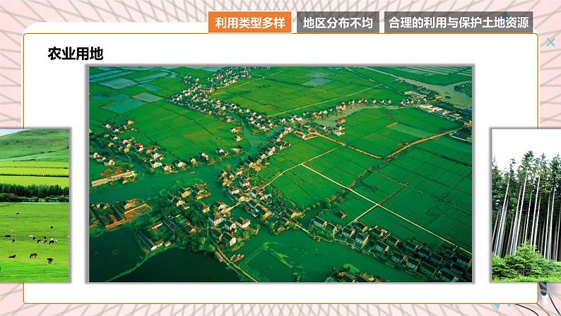 地理仁爱科普版八上3.2土地资源 课件+教案+练习04
