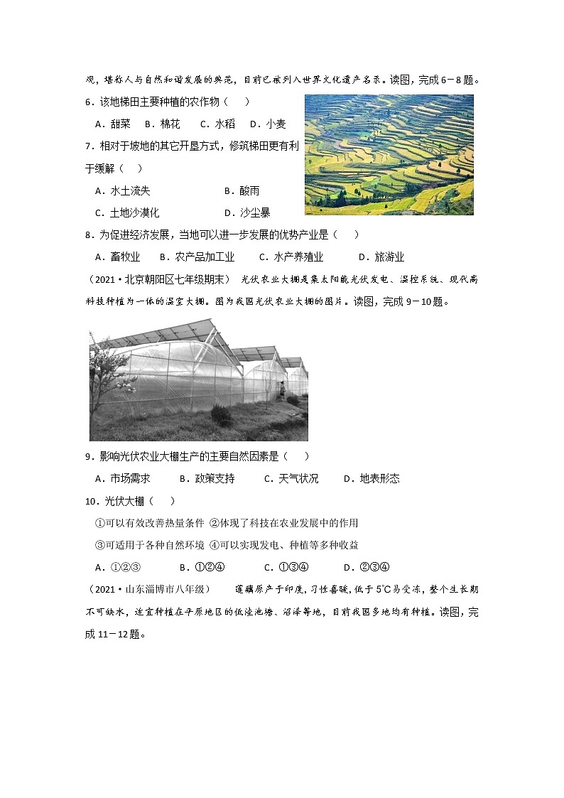 地理仁爱科普版八上4.1国民经济的基础——农业 课件+教案+练习02