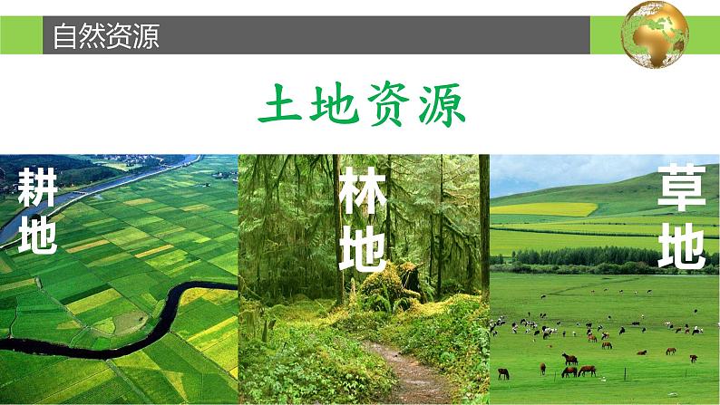 3.1 自然资源概况-2022-2023学年度八年级上册地理优质课件（湘教版）08