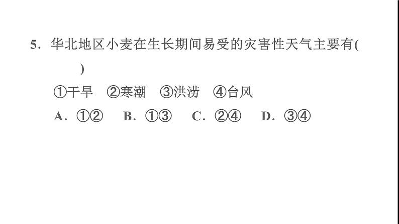 晋教版八年级地理下册期末专项复习训练1北方地区课件08