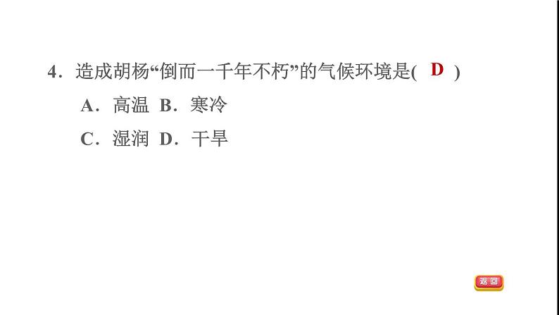 晋教版八年级地理下册期末专项复习训练3西北地区课件07