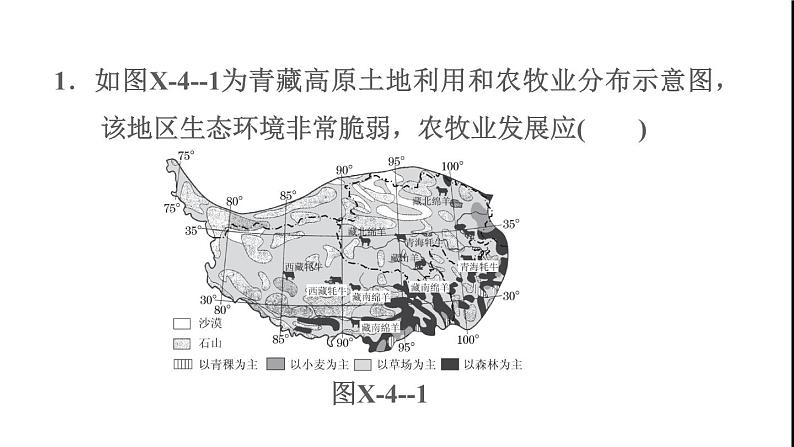 晋教版八年级地理下册期末专项复习训练4青藏地区课件03