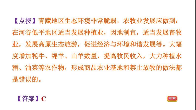 晋教版八年级地理下册期末专项复习训练4青藏地区课件05