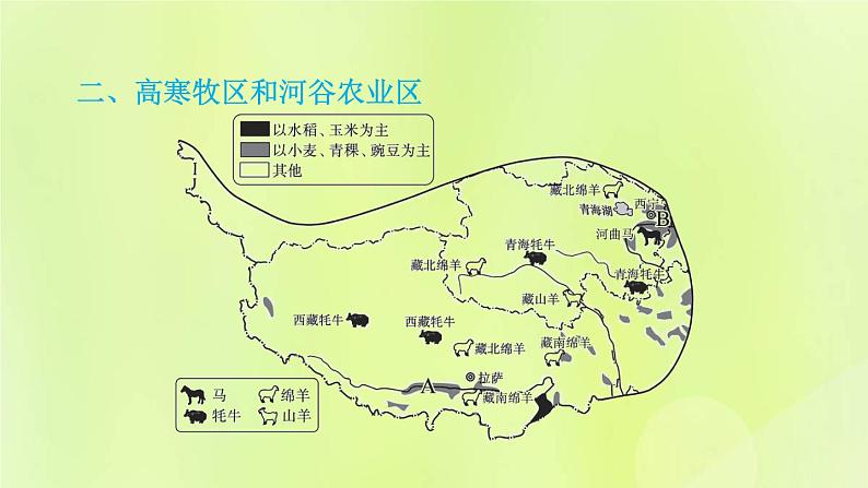 福建专用人教版八年级地理下册第9章青藏地区9.1自然特征与农业课件06