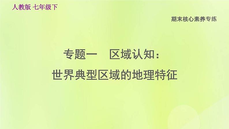 人教版七年级地理下册期末核心素养专练1区域认知：世界典型区域的地理特征习题课件第1页