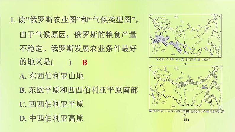 人教版七年级地理下册期末核心素养专练4人地协调观：不同区域自然环境对人类生产生活的影响习题课件02