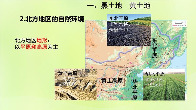 人教版八年级地理下册第6章北方地区第1节自然特征与农业课件第8页