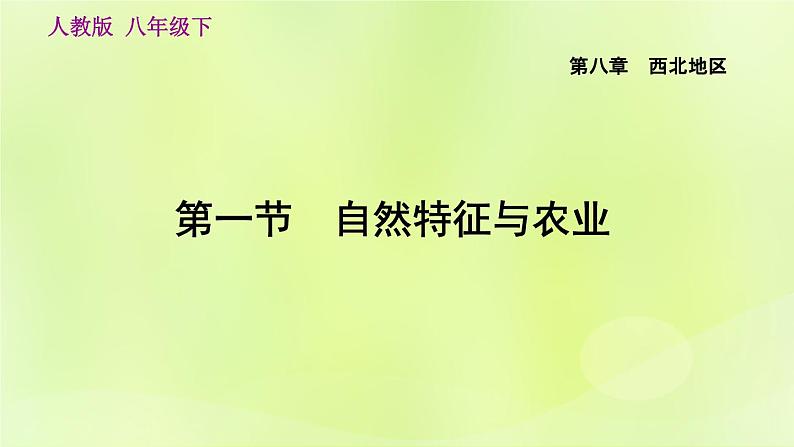 人教版八年级地理下册第8章西北地区第1节自然特征与农业课件第3页