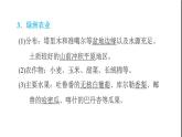 晋教版八年级地理下册第7章省级行政区域7.2新疆-祖国面积最大的省级行政区域第1课时三山夹两盆”的地形大陆性气候绿洲农业课件