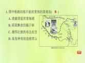 福建专版中考地理复习模块10中国的地理差异第22课时中国的四大地理区域2-西北地区和青藏地区课后习题课件
