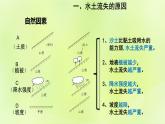 人教版八年级地理下册第6章北方地区第3节世界最大的黄土堆积区-黄土高原第2课时严重的水土流失水土保持课件