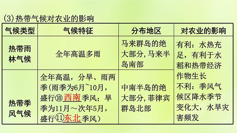 湘教版中考总复习10第7章了解地区课时1东南亚南亚基础知识梳理课件06