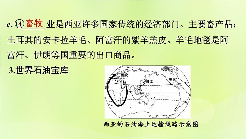 湘教版中考总复习11第7章了解地区课时2西亚基础知识梳理课件第7页