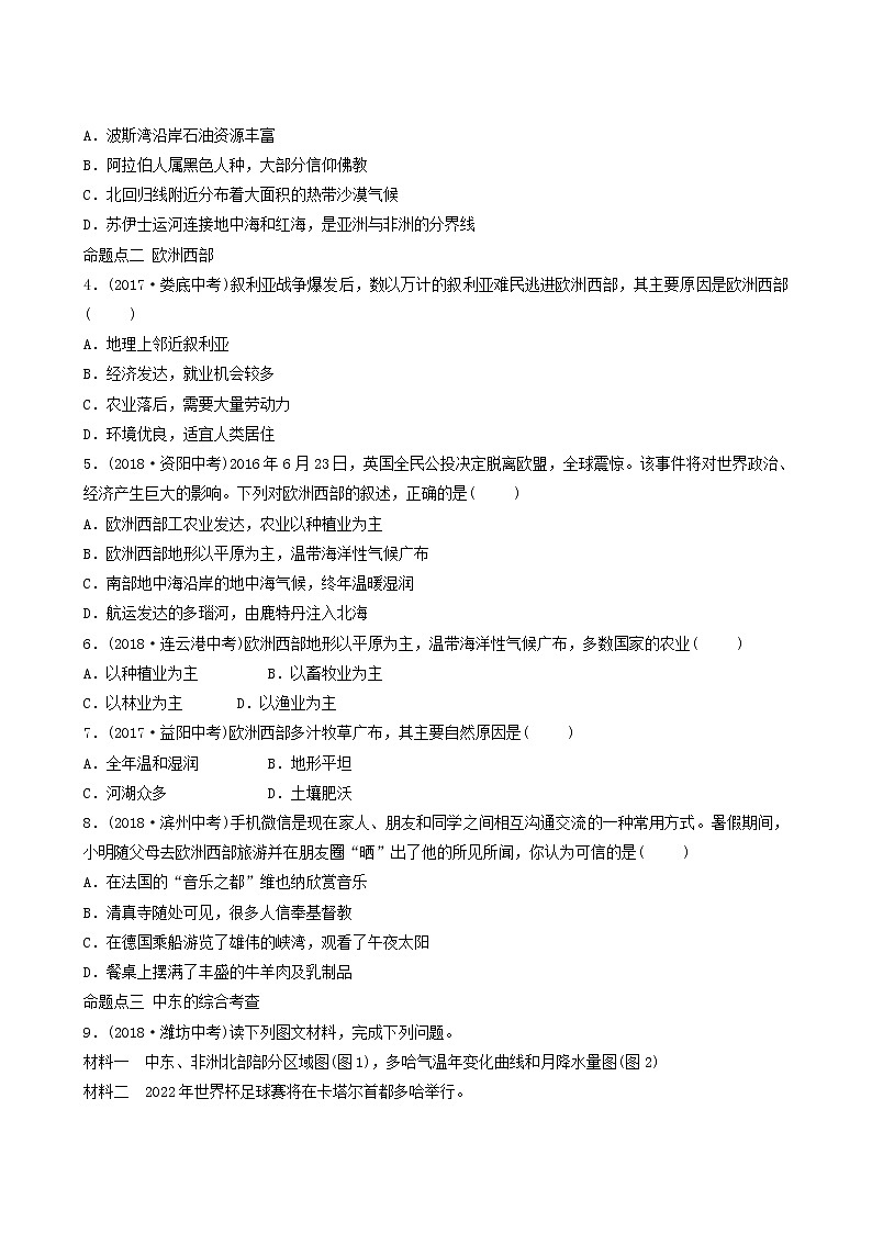 鲁教版中考地理复习20第8章东半球其他的地区和国家第1课时真题演练含答案02