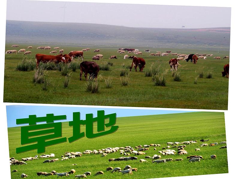 2022年人教版八年级地理上册第3章第2节土地资源课件 (1)第3页