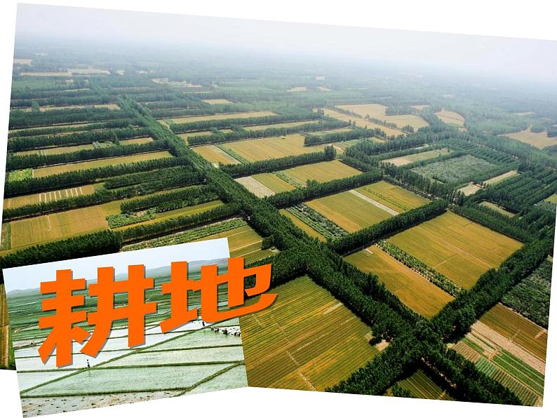 2022年人教版八年级地理上册第3章第2节土地资源课件 (1)第4页