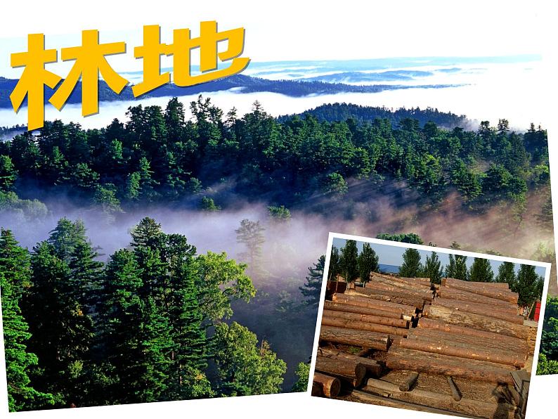 2022年人教版八年级地理上册第3章第2节土地资源课件 (1)第5页