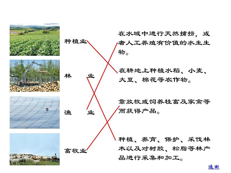 2022年人教版八年级地理上册第4章第2节农业课件 (4)第4页