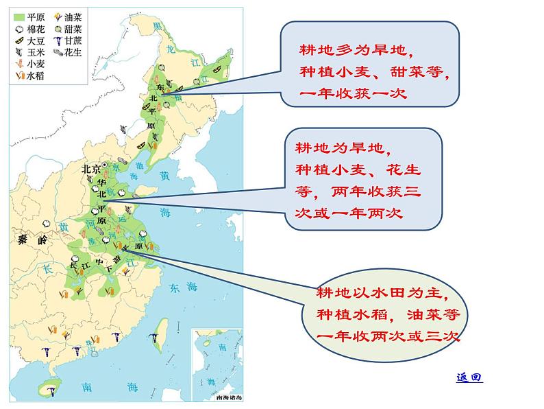 2022年人教版八年级地理上册第4章第2节农业课件 (4)第8页