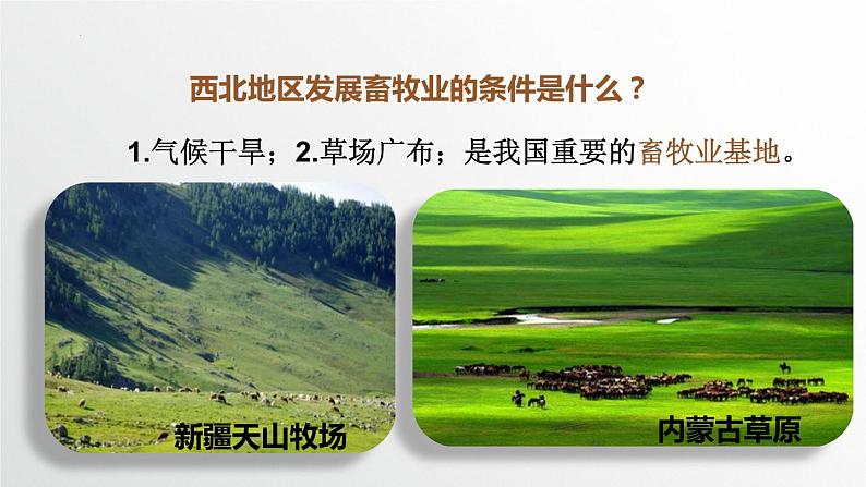 人教版地理八年级下册第八章西北地区第一节自然特征与农业（第二课时）PPT课件第4页