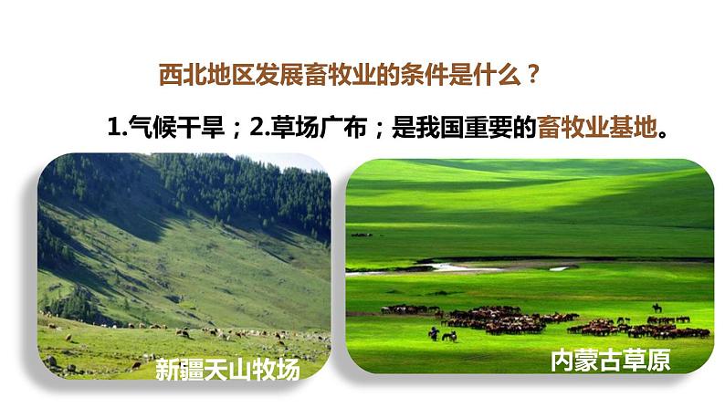 2022年人教版地理八年级第八章西北地区第一节自然特征与农业（第二课时）PPT课件第4页