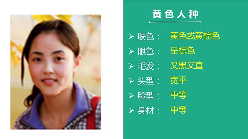 3.2世界的人种（课件）-2022-2023学年七年级地理上册同步备课系列（湘教版）06