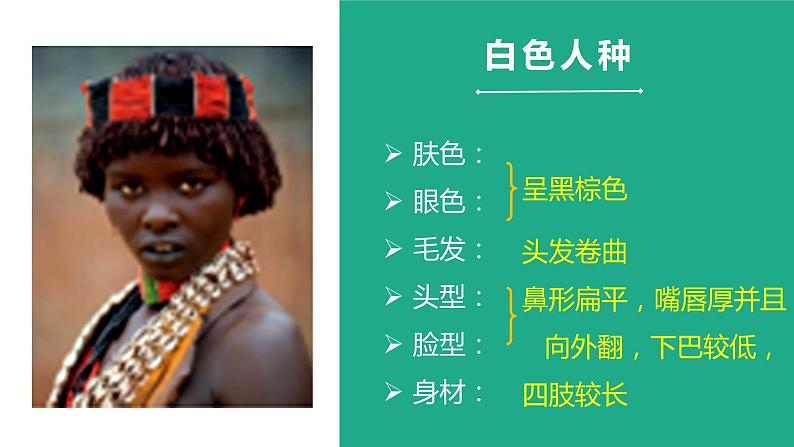 3.2世界的人种（课件）-2022-2023学年七年级地理上册同步备课系列（湘教版）08