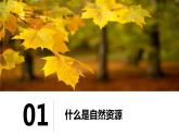 3.1自然資源概況（課件）-2022-2023學年湘教版八年級地理上冊同步備課系列