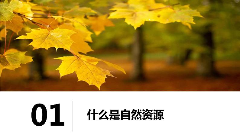 3.1自然资源概况（课件）-2022-2023学年湘教版八年级地理上册同步备课系列03