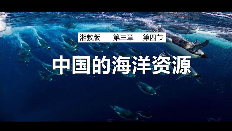 3.4中国的海洋资源（课件）-2022-2023学年湘教版八年级地理上册同步备课系列01