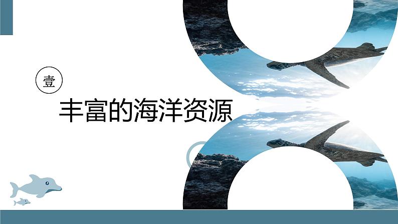 3.4中国的海洋资源（课件）-2022-2023学年湘教版八年级地理上册同步备课系列05