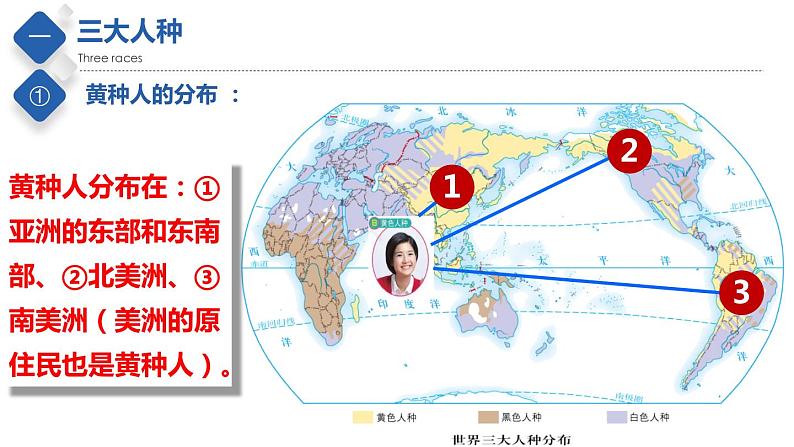 3.1  人种和人口（精品课件）-2022-2023学年八年级地理上册同步备课系列（中图版）06