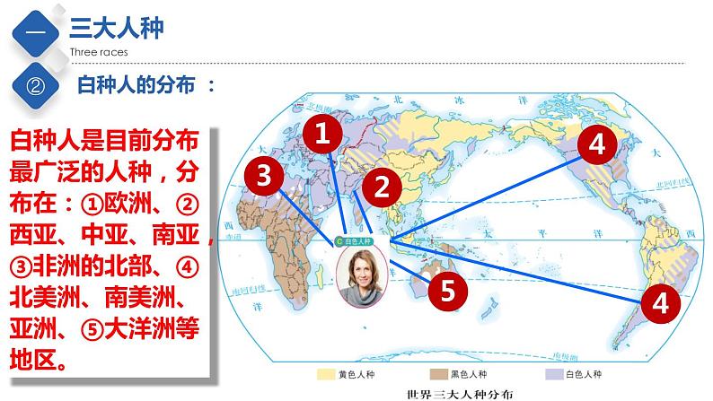 3.1  人种和人口（精品课件）-2022-2023学年八年级地理上册同步备课系列（中图版）07