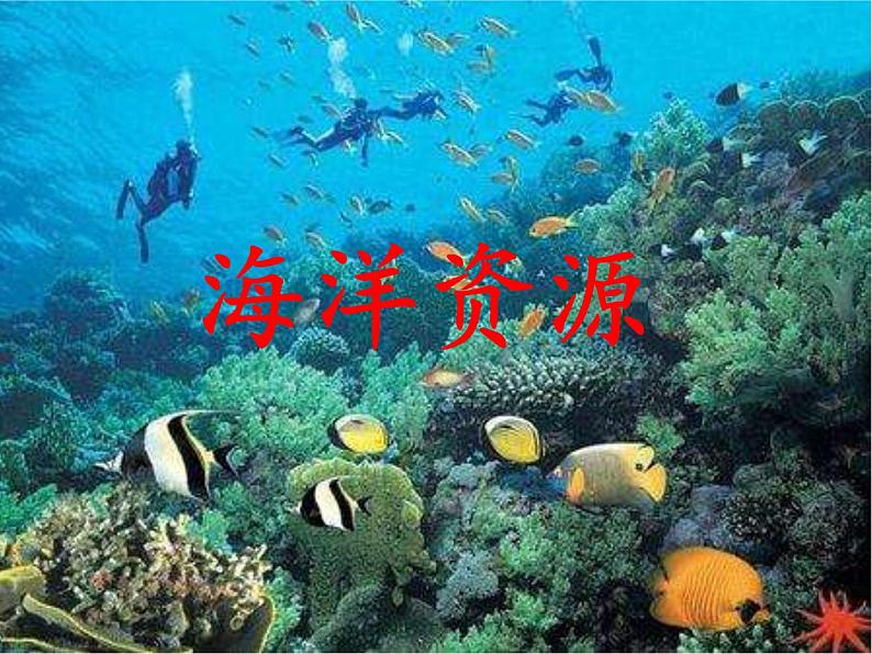 3.4中国的海洋资源（精品课件）-2022-2023学年八年级上册同步备课系列（湘教版）01