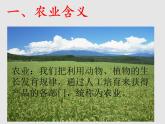4.1农业（精品课件）-2022-2023学年八年级上册同步备课系列（湘教版）