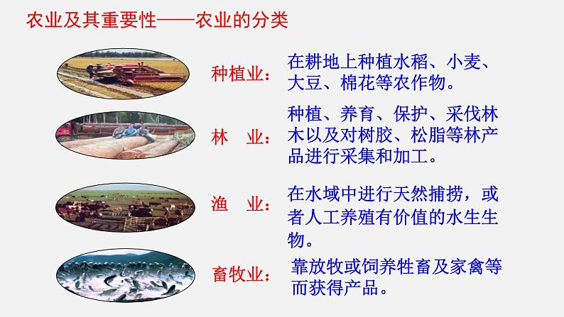 4.2 农业（课件）-2022-2023学年八年级上学期同步备课系列（人教版）第5页