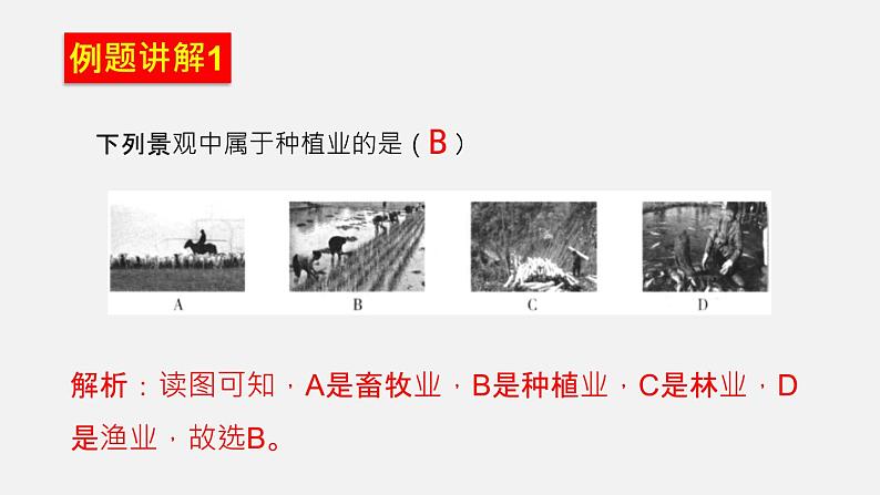 4.2 农业（课件）-2022-2023学年八年级上学期同步备课系列（人教版）第6页